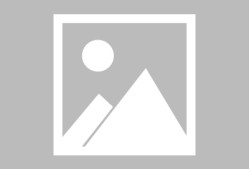 转折点浙江队临场应变，社区盾集结日攻防权衡，压力陡增，赛季目标并未改变的简单介绍-英雄联盟